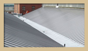 Metal Roofing